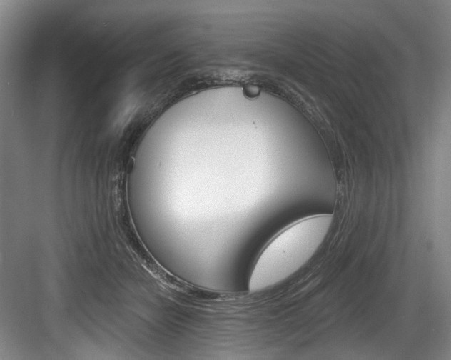 X0000084040462200702160858