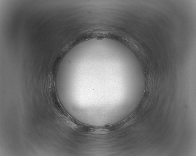 X0000084040463200702160858