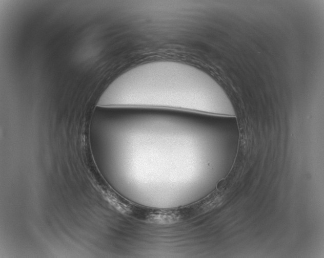 X0000084040466200702160858