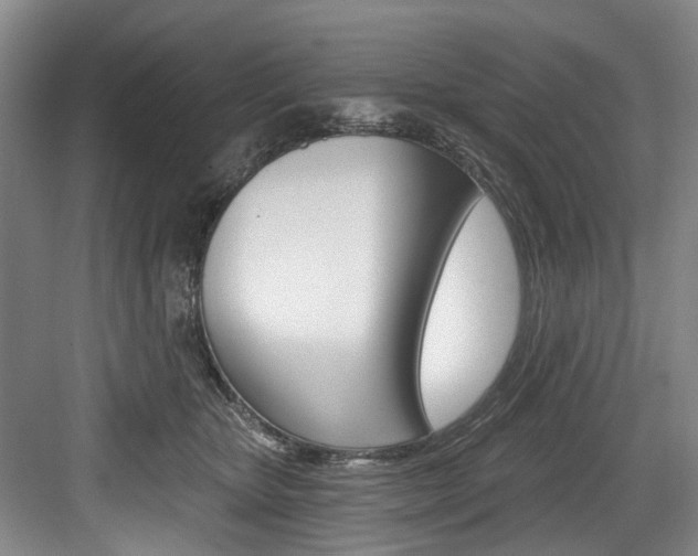 X0000084040467200702160858