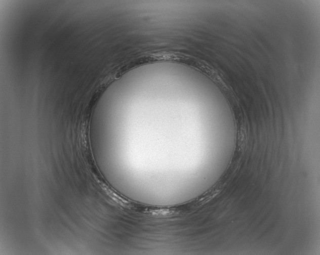 X0000084040473200702160858