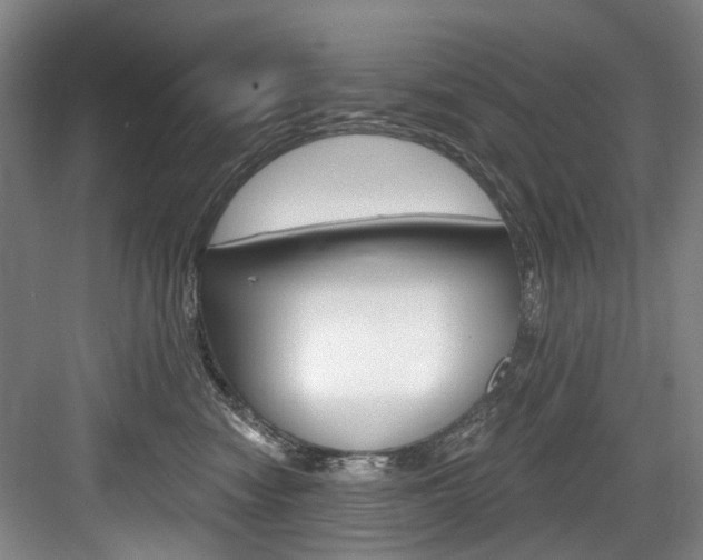 X0000084040474200702160858