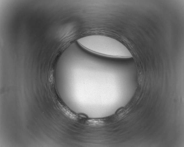 X0000084040477200702160858