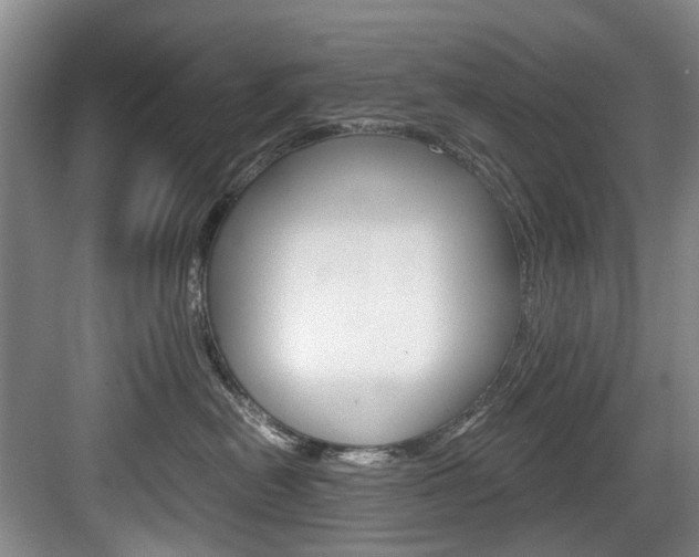 X0000084040478200702160858