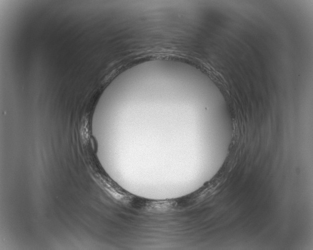 X0000084040479200702160858