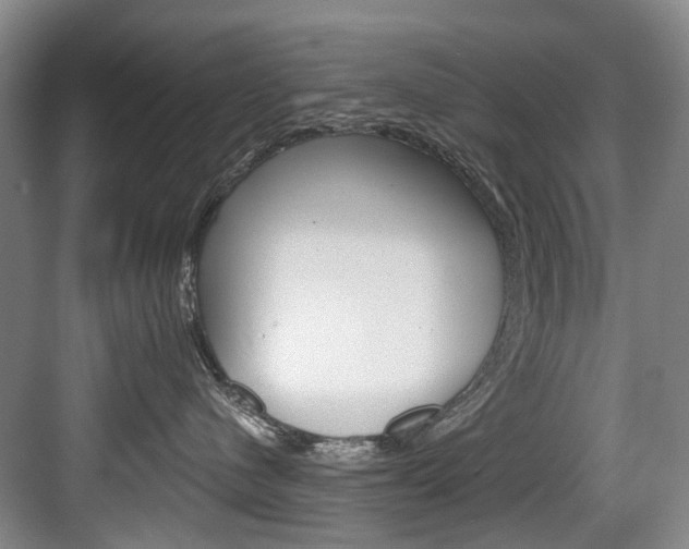 X0000084040480200702160858
