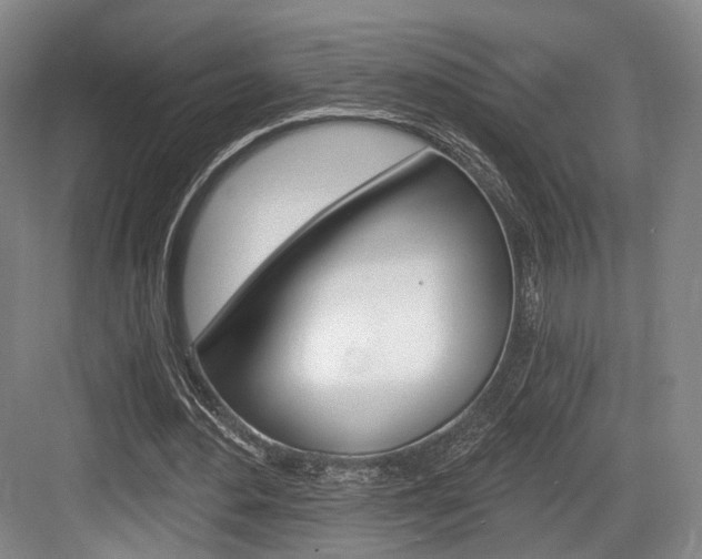 X0000084040484200702160857