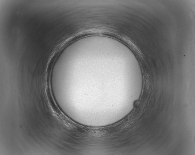 X0000084040486200702160857