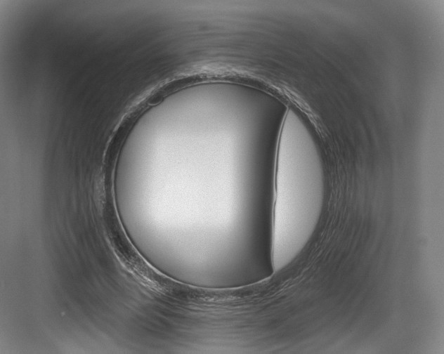 X0000084040488200702160857
