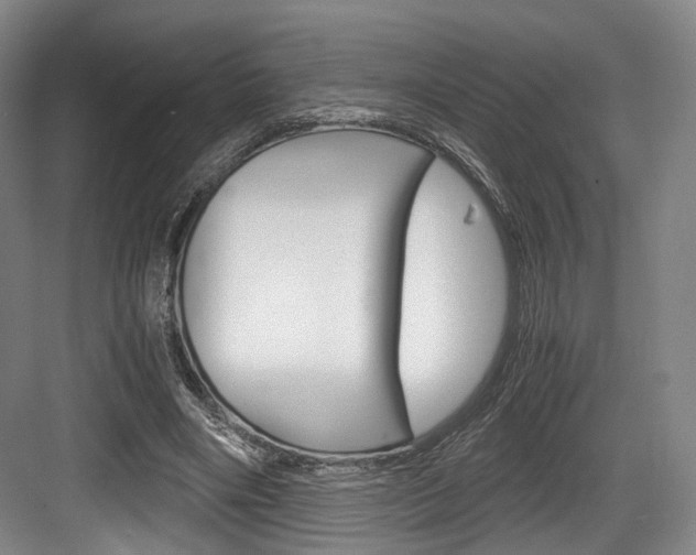 X0000084040490200702160857
