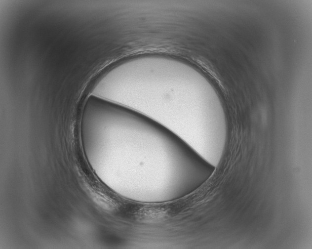 X0000084040491200702160857