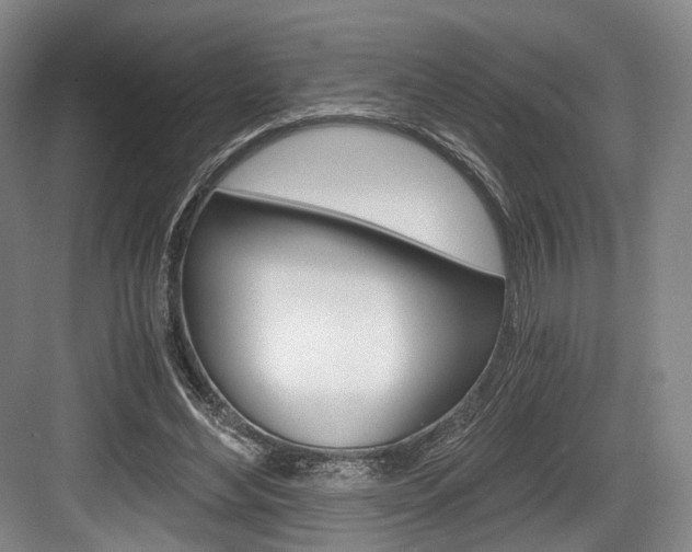 X0000084040492200702160857