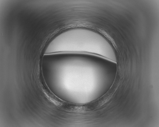 X0000084040493200702160857