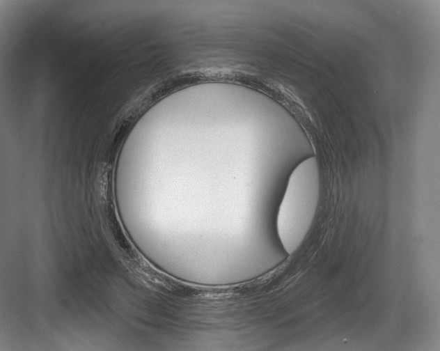 X0000084040495200702160857