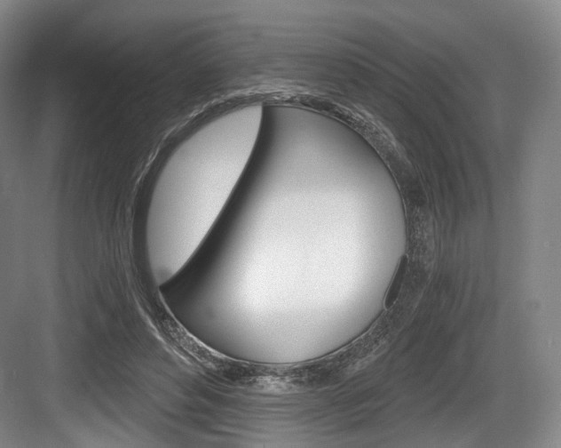 X0000084040496200702160857
