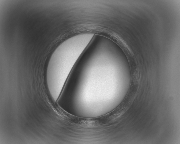 X0000084040497200702160857