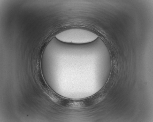 X0000084040499200702160857