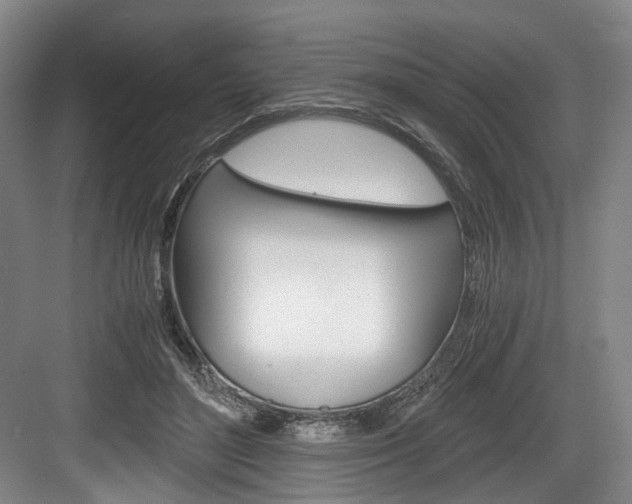 X0000084040500200702160857