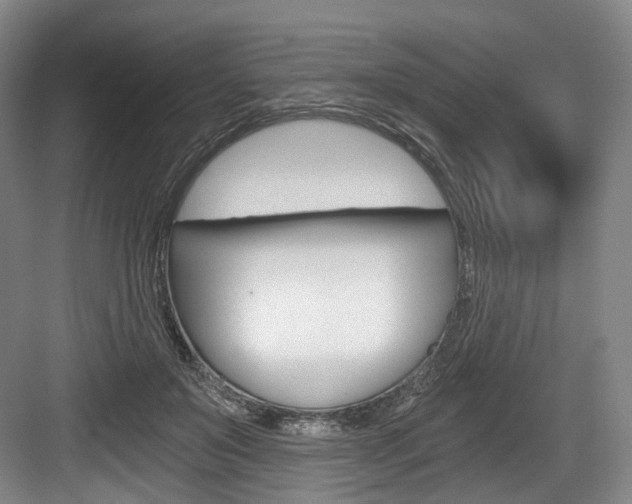 X0000084040503200702160857