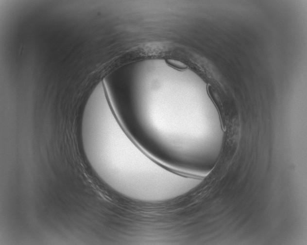 X0000084040505200702160857