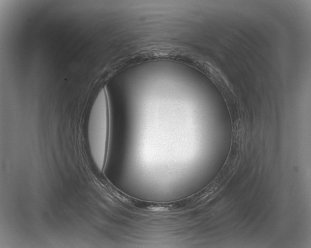 X0000084040509200702160857
