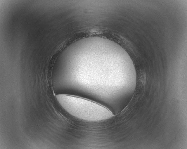 X0000084040512200702160857