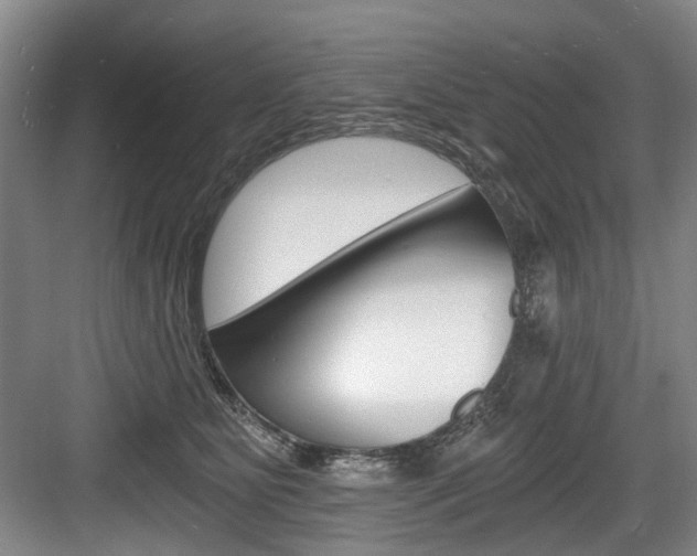 X0000084040515200702160857