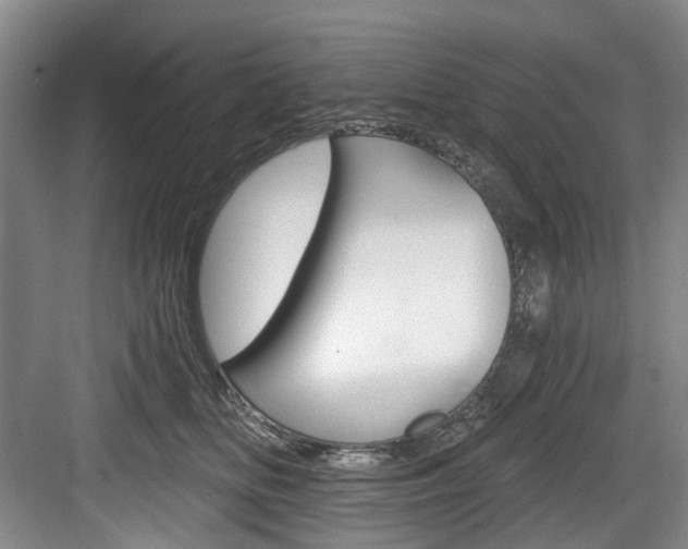 X0000084040518200702160857