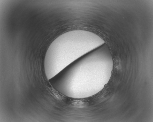 X0000084040519200702160856