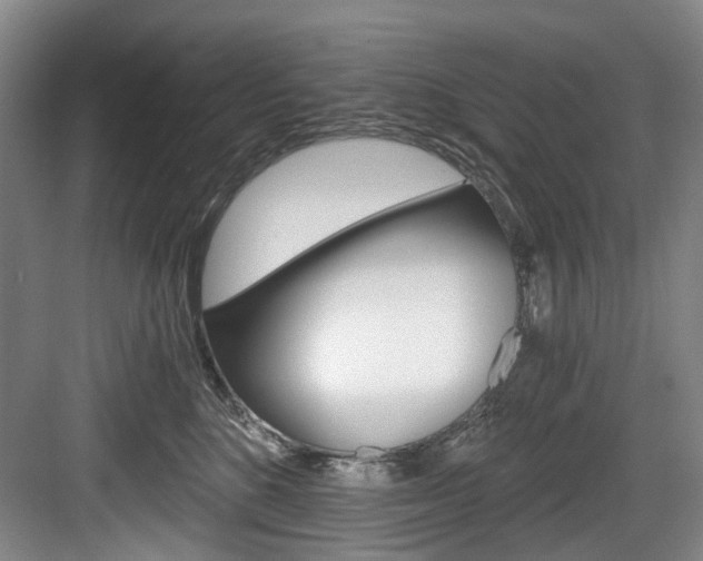 X0000084040520200702160856