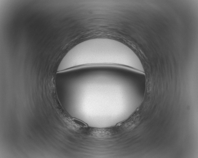 X0000084040521200702160856