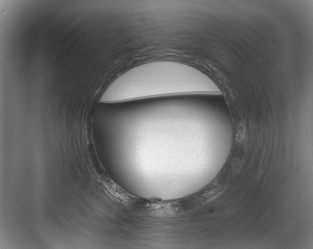 X0000084040524200702160856