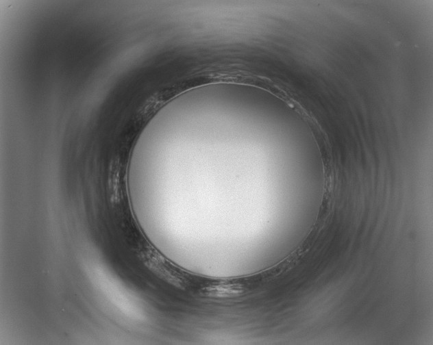 X0000084040525200702160856
