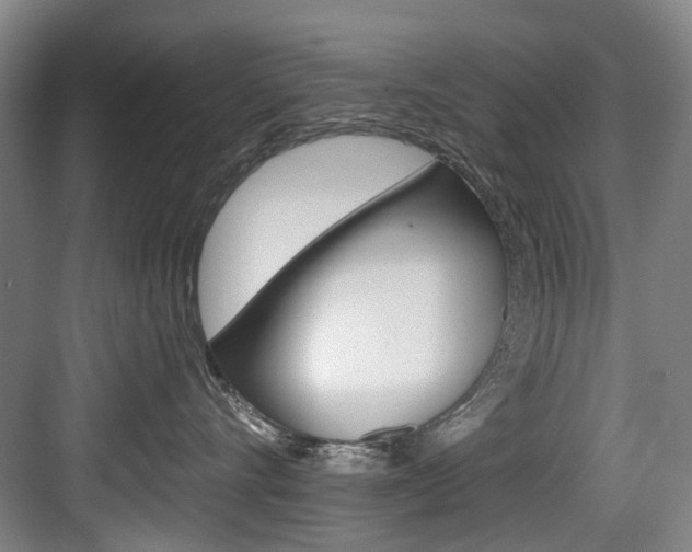 X0000084040528200702160856