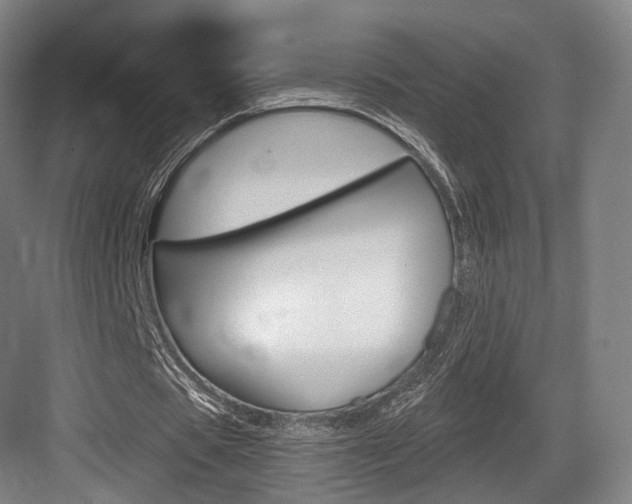 X0000084040529200702160856