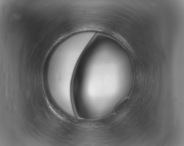 X0000084040530200702160856
