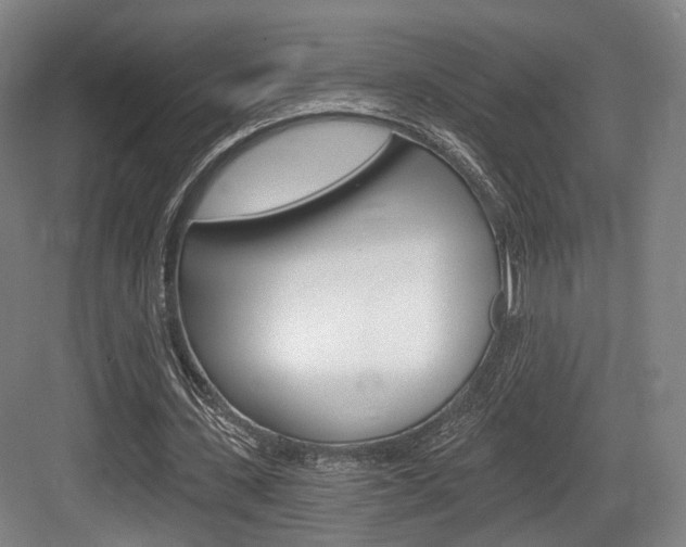 X0000084040531200702160856