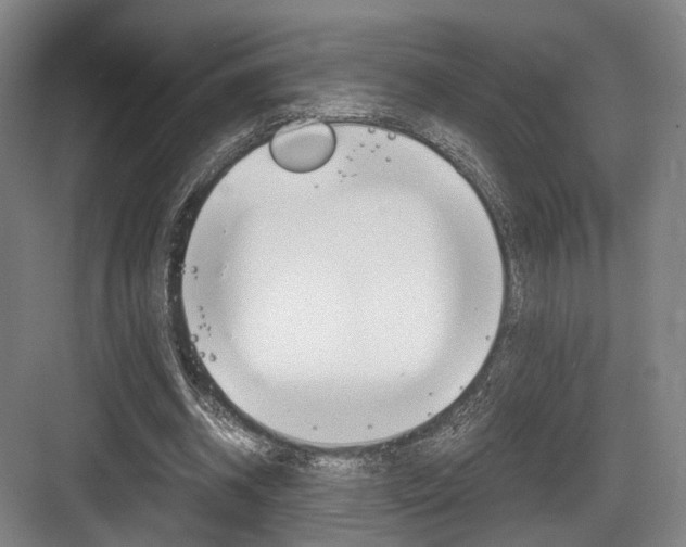 X0000084040534200702160856