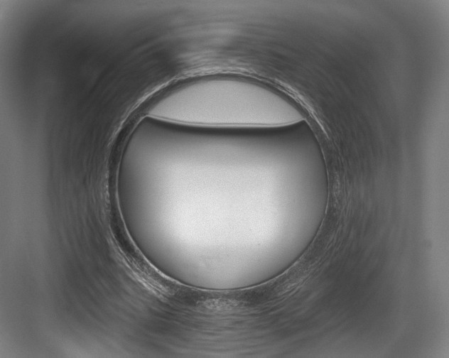 X0000084040535200702160856