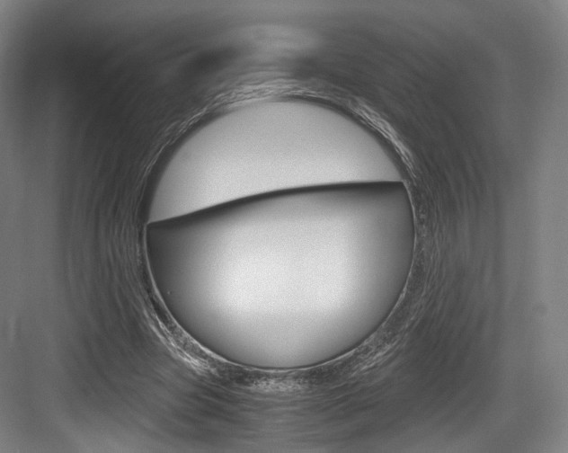 X0000084040537200702160856