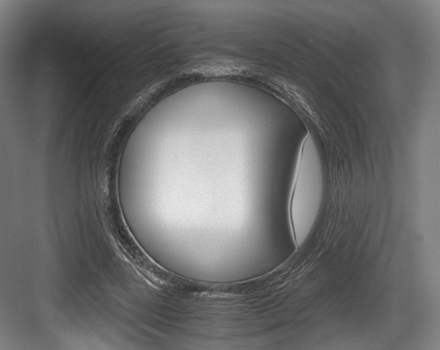 X0000084040539200702160856