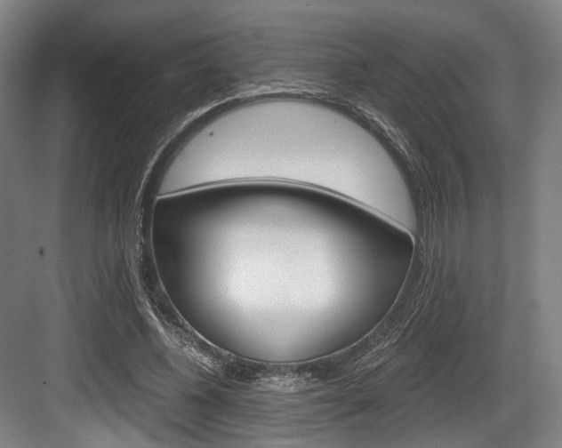 X0000084040540200702160856