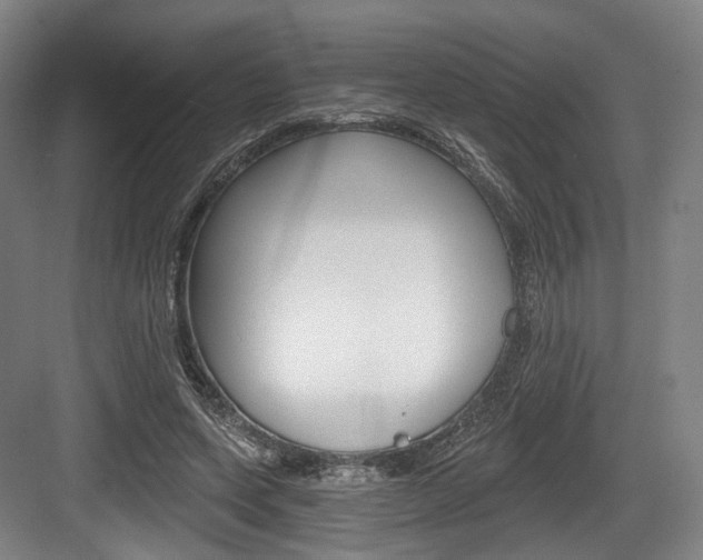 X0000084040543200702160856