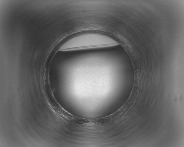 X0000084040544200702160856