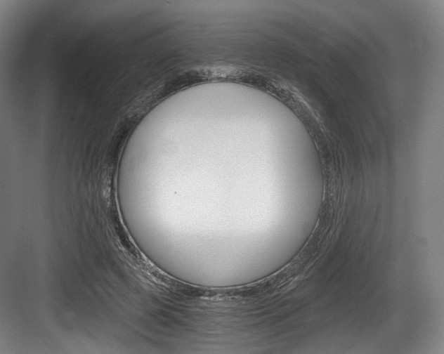 X0000084040545200702160856