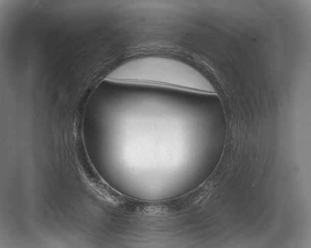 X0000084040546200702160856