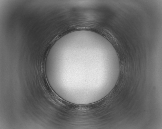 X0000084040549200702160856