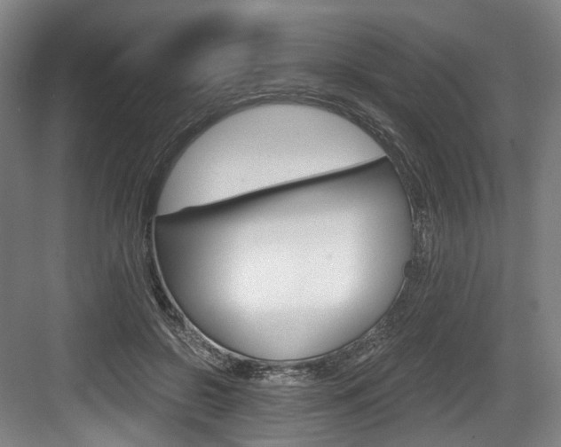 X0000084040550200702160856