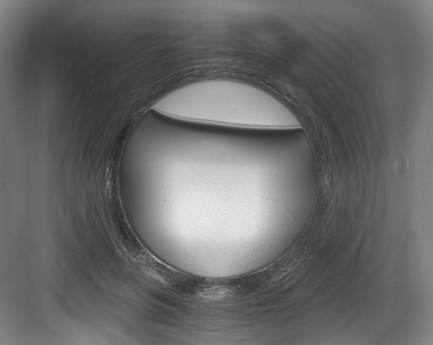 X0000084040551200702160856
