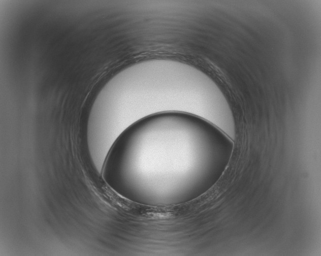X0000084040552200702160856